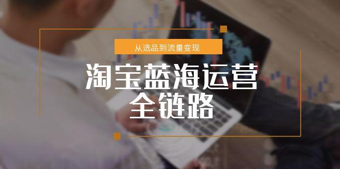 淘宝蓝海运营全链路,从选品到流量变现,小类目突围完整方案网赚项目-副业赚钱-互联网创业-资源整合神马网赚