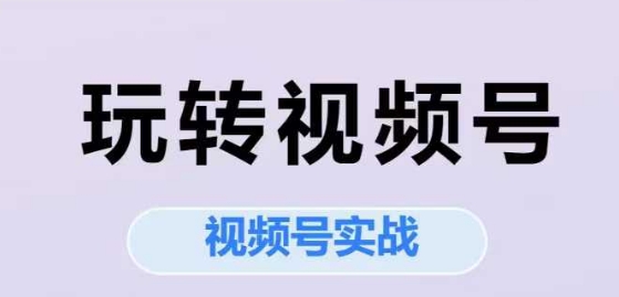 玩转视频号,视频号实战系列课网赚项目-副业赚钱-互联网创业-资源整合神马网赚