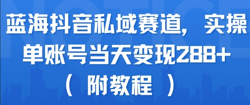 蓝海抖音私域赛道,实操单账号当天变现288+(附教程)网赚项目-副业赚钱-互联网创业-资源整合神马网赚