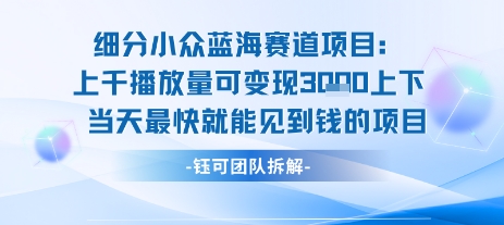 小众蓝海赛道项目：当天变现1k+适合新手操作 +适合长期玩网赚项目-副业赚钱-互联网创业-资源整合神马网赚