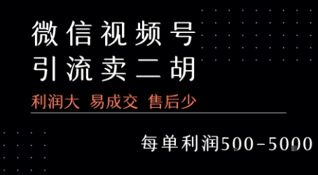 视频号卖二胡教程,利润大 易成交 售后少,一单利润5张+网赚项目-副业赚钱-互联网创业-资源整合神马网赚