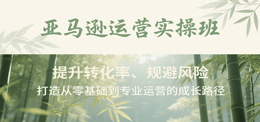 亚马逊运营实操班,提升转化率、规避风险,打造从零基础到专业运营的成长路径网赚项目-副业赚钱-互联网创业-资源整合神马网赚