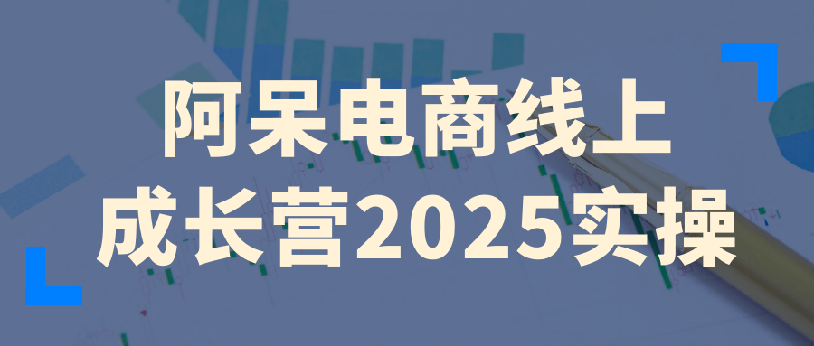阿呆电商线上成长营2025实操网赚项目-副业赚钱-互联网创业-资源整合神马网赚